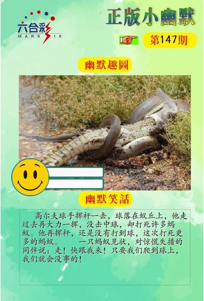 26.jpg